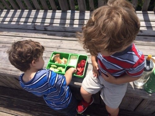 Gumbo Limbo Boca Raton Gumbo Limbo Boca Raton
