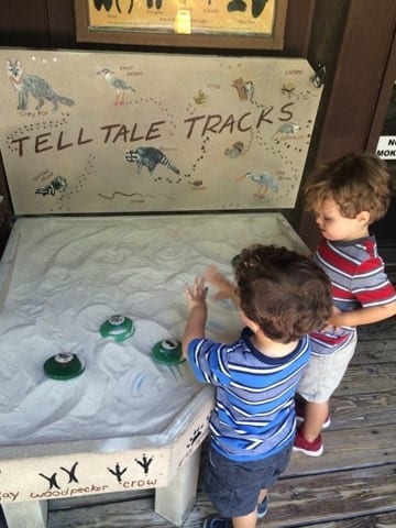 Gumbo Limbo Boca Raton Gumbo Limbo Boca Raton