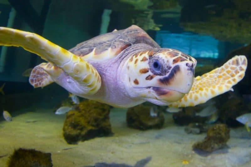 Top Attractions in Boca Raton Top attractions in Boca Raton