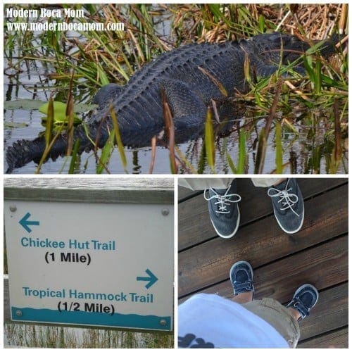 Green Cay Nature Center 