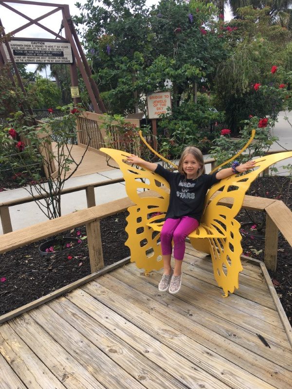 Butterfly World in South Florida Butterfly World in South Florida