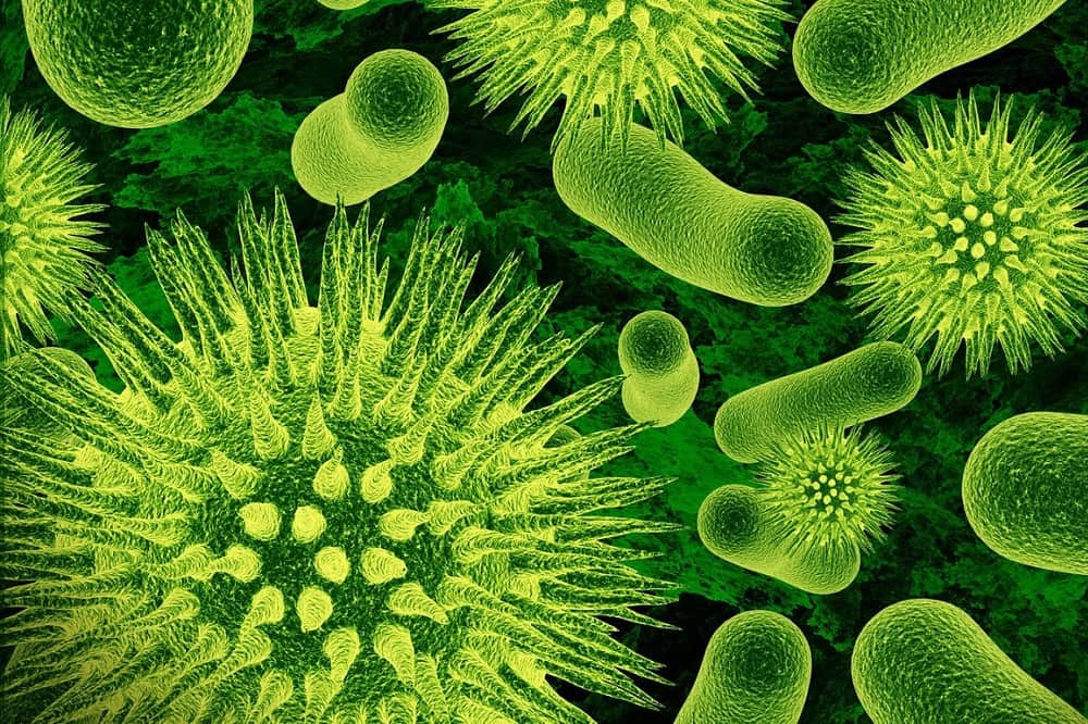 Germs Back to School Modern Boca Mom Featured