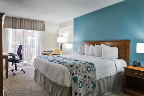 Wyndham img_2188fret2 copy