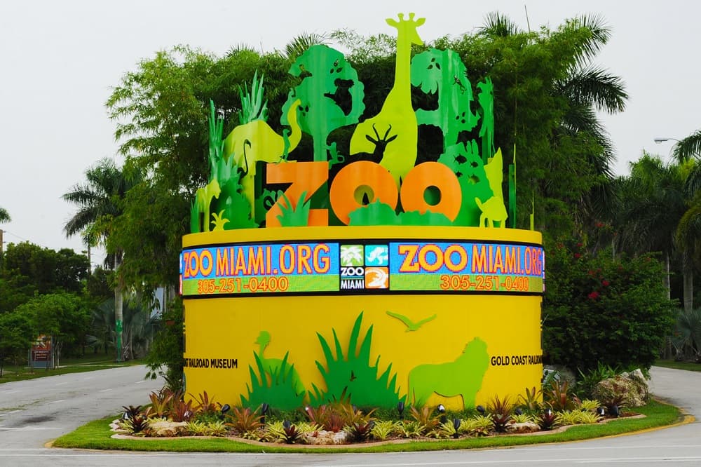 Zoo Miami Modern Boca Mom Featured