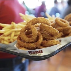 Habit Onion Rings 2