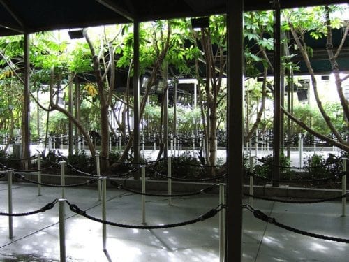 First Orlando Trip as New Parents