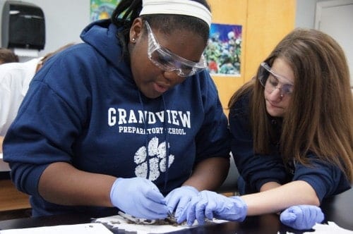 Boca back to school Boca back to school