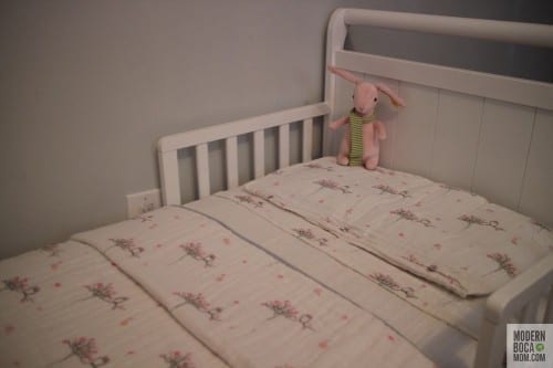 Aden + Anais Bed in a Bag