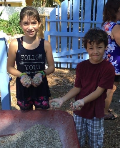 Children's Garden in Delray Beach