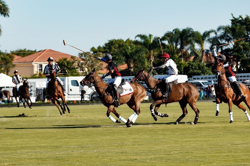 Palm Beach Polo Featured