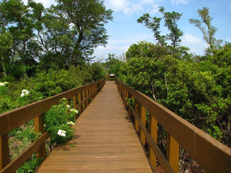 Top Attractions in Boca Raton Top Attractions in Boca Raton