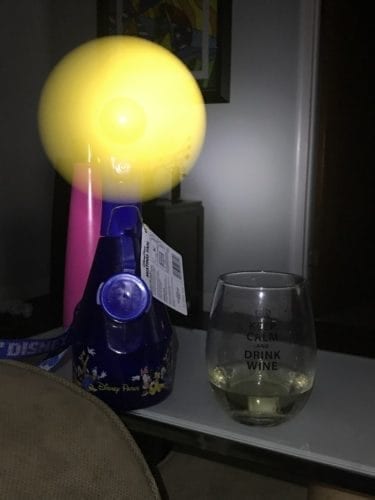 Hurricane Irma changed my Boca family