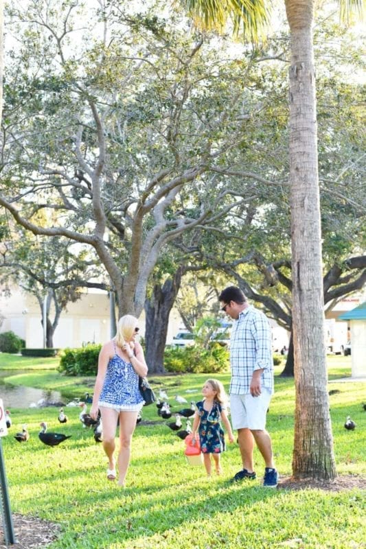 Florida Health and Dental Coverage