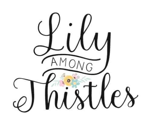MOMpreneur Monday Lily Among Thistles MOMpreneur Monday Lily Among Thistles