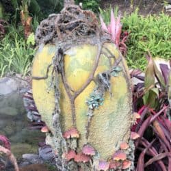 2018 02 11 10.25.36 e1520185470370