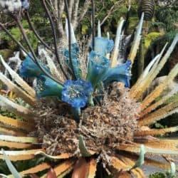 2018 02 11 11.26.24 e1520185447889