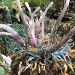 2018 02 11 11.26.49 e1520185437416