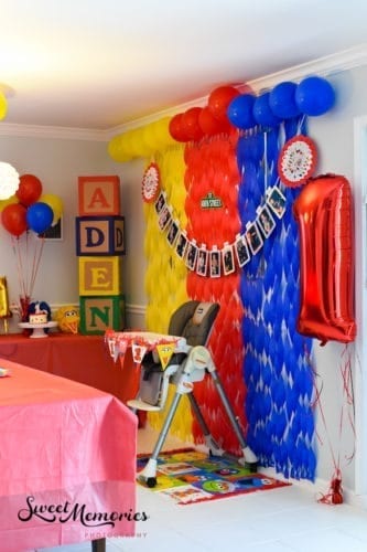 Elmo themed Boca birthday party Elmo themed Boca birthday party