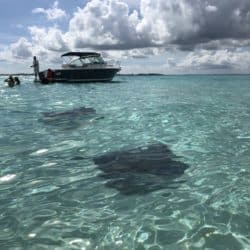 2018 09 12 09.34.00 e1538947328418