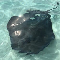 2018 09 12 09.36.02 e1538947365945