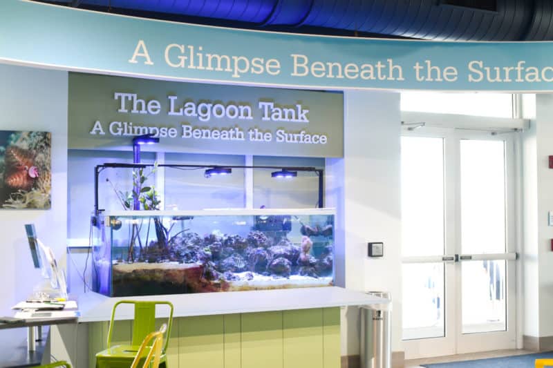 Manatee Lagoon Palm Beach Manatee Lagoon Palm Beach