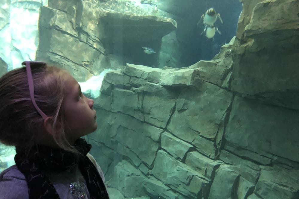 I Lost My Child at a Theme Park Featured