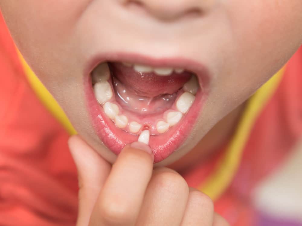 shutterstock 448446817 1