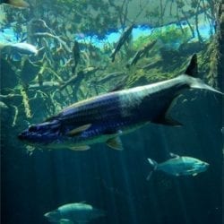 2019 06 23 14.30.39 e1563468871316