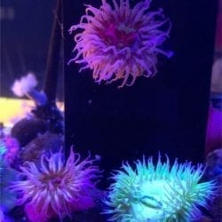 2019 06 23 14.33.27 1