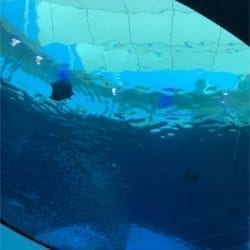 2019 06 23 14.55.06 e1563468690819