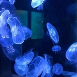 2019 06 23 15.00.38 1