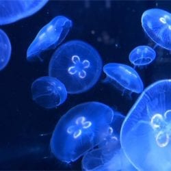 2019 06 23 15.00.43 1