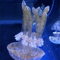 2019 06 23 15.01.03 e1563468668997