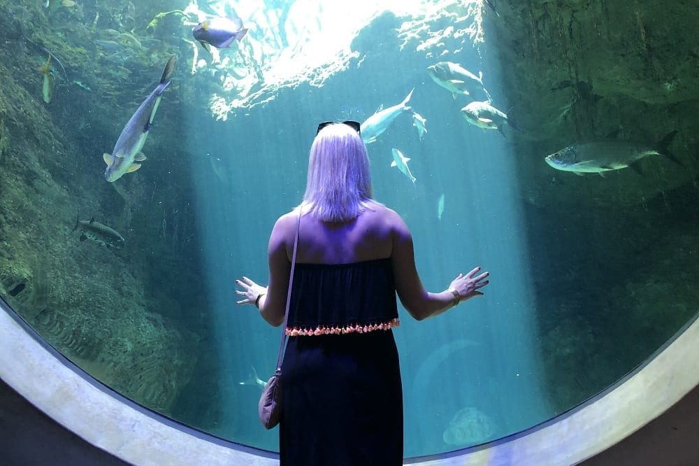 Fancy Family Trip to Miami Featured 2