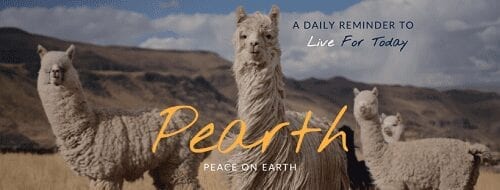 Pearth Products Pearth Products