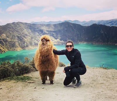 Pearth Products Pearth Products