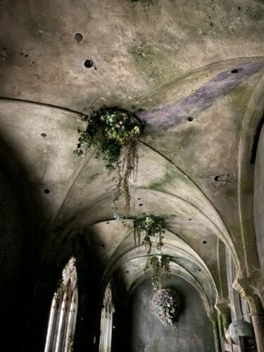 Universal Orlando Modern Boca Mom 144 rotated