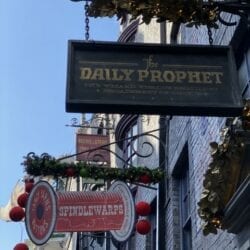 Universal Orlando Modern Boca Mom 53 rotated