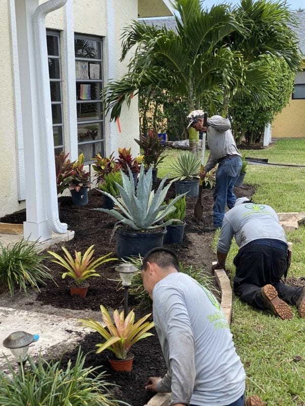 Affordable Landscaping in Boca Raton Yards Plus