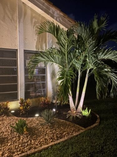 Affordable Landscaping in Boca Raton Yards Plus 27 rotated