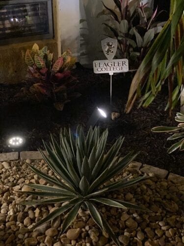 Affordable Landscaping in Boca Raton Yards Plus 32 rotated