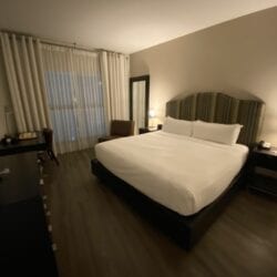 Healthy Orlando Trip for Families with Melia Orlando Celebration 7