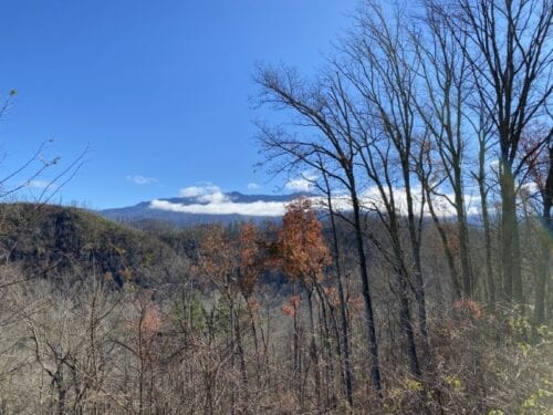 Safe Fall Family Road Trip to Gatlinburg & Pigeon Forge, Tennessee Safe Fall Family Road Trip to Gatlinburg & Pigeon Forge, Tennessee