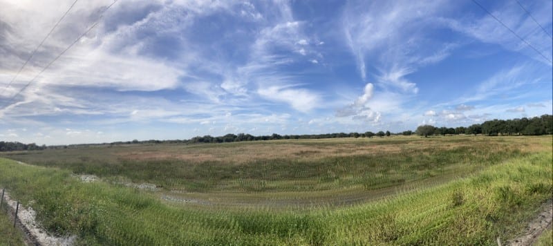 Westgate River Ranch on a budget