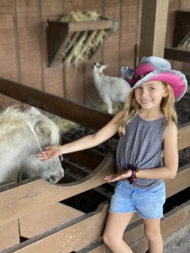 Westgate River Ranch on a Budget 27