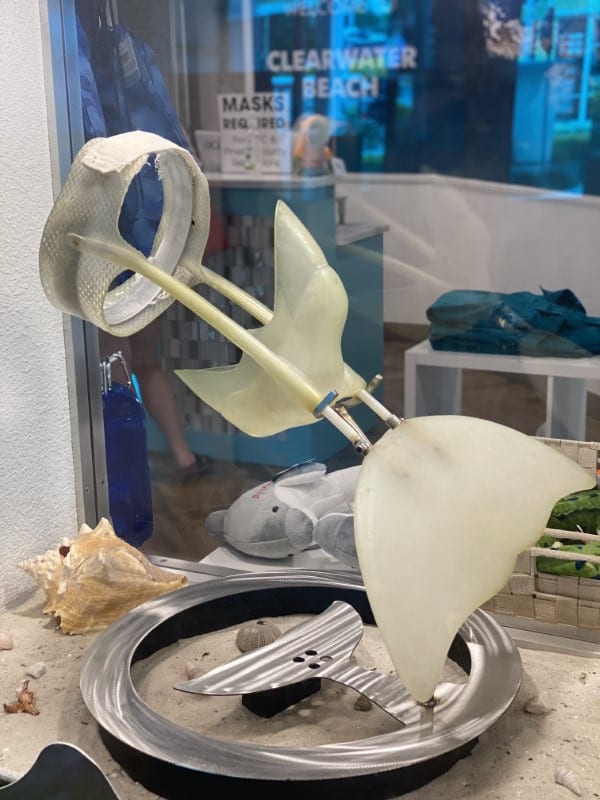 Clearwater family road trip Clearwater family road trip