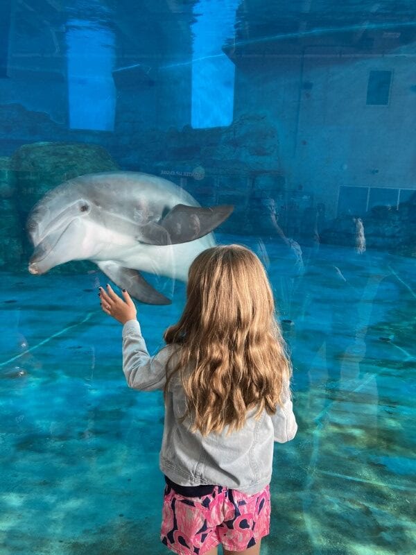 Clearwater family road trip Clearwater family road trip