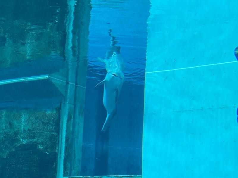 Clearwater family road trip Clearwater family road trip