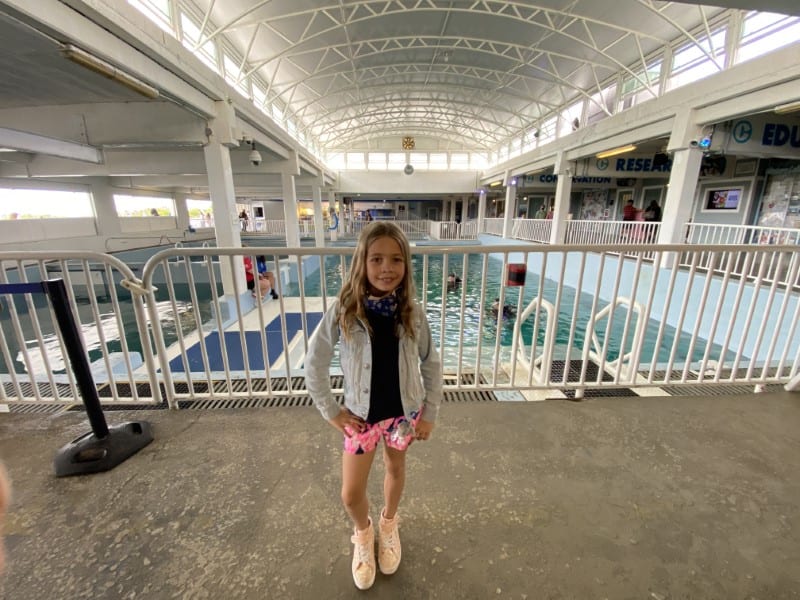 Clearwater family road trip Clearwater family road trip