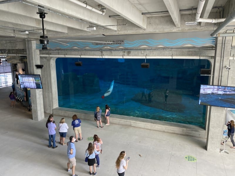 Clearwater family road trip Clearwater family road trip